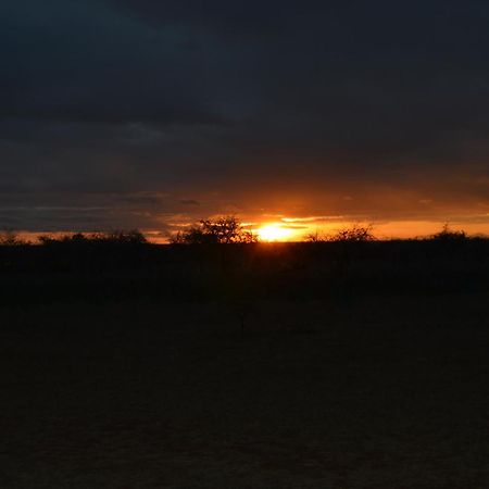 Wild Amboseli Ndovu Cottage. Luaran gambar