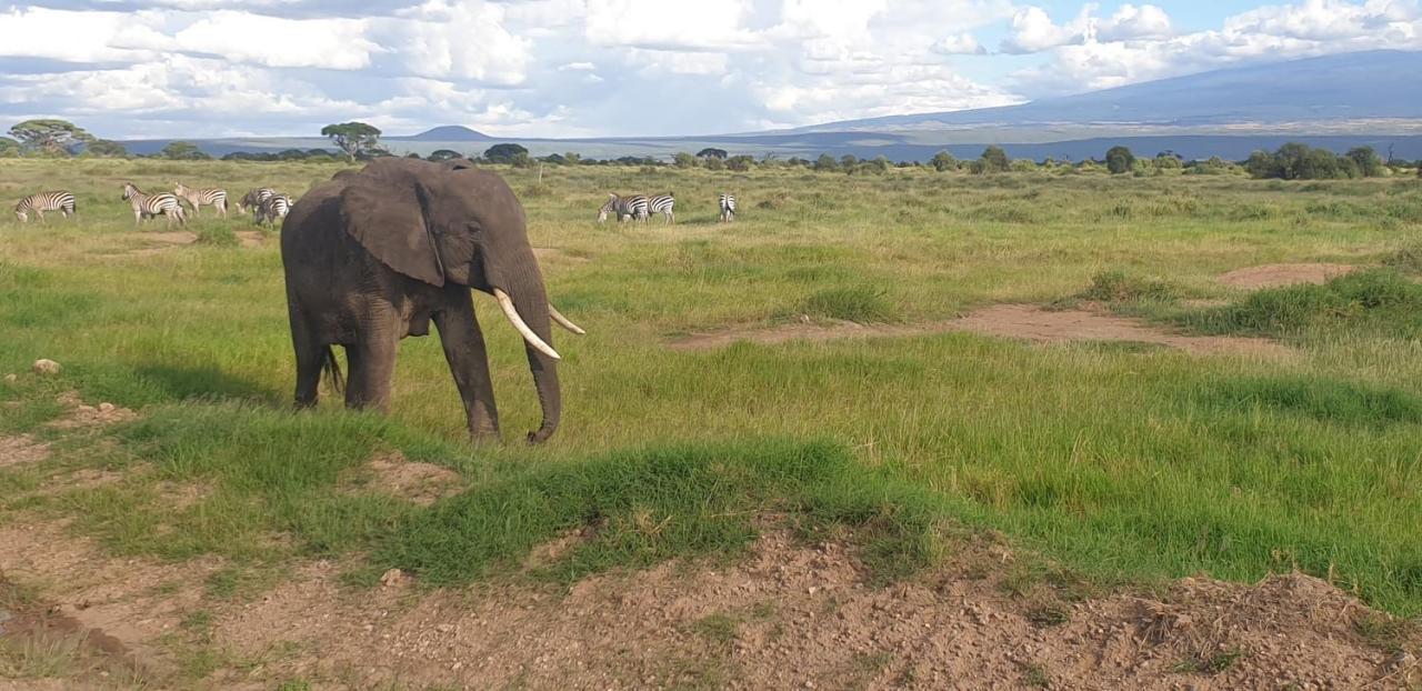 Wild Amboseli Ndovu Cottage. Luaran gambar