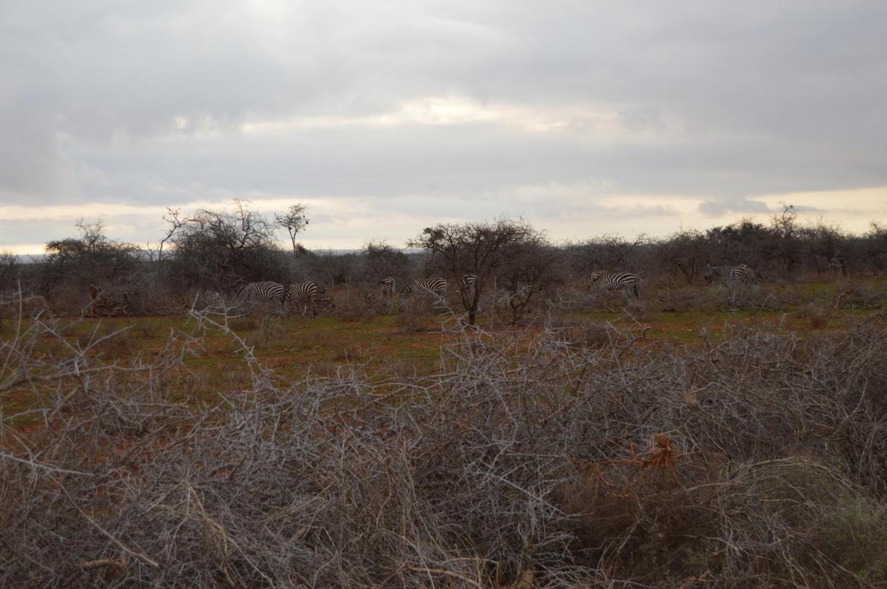Wild Amboseli Ndovu Cottage. Luaran gambar