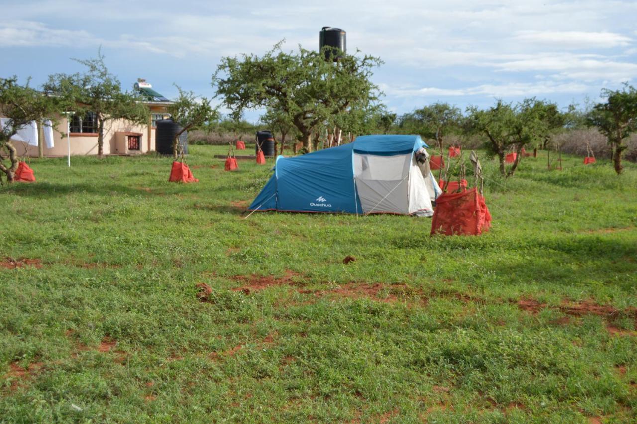 Wild Amboseli Ndovu Cottage. Luaran gambar