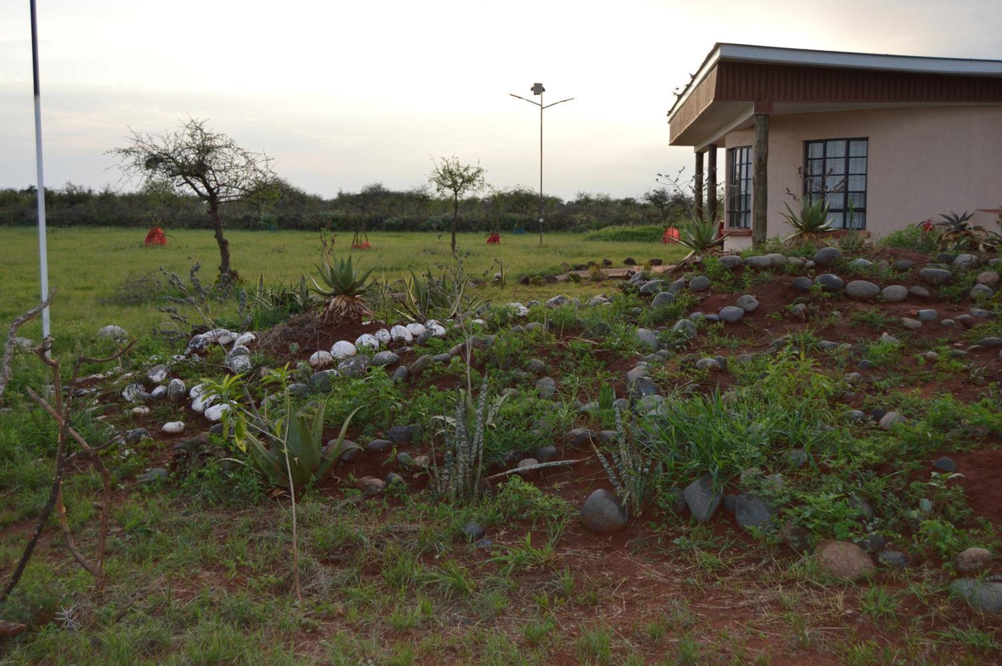 Wild Amboseli Ndovu Cottage. Luaran gambar