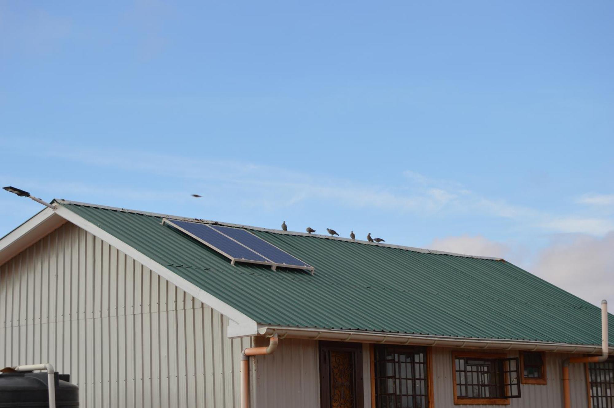 Wild Amboseli Ndovu Cottage. Luaran gambar