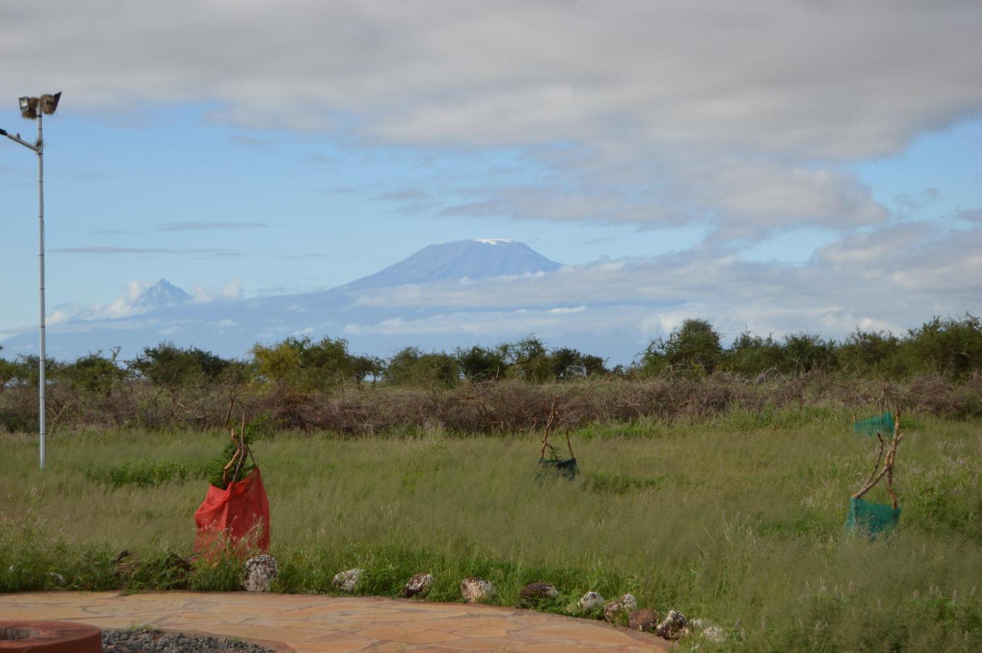 Wild Amboseli Ndovu Cottage. Luaran gambar